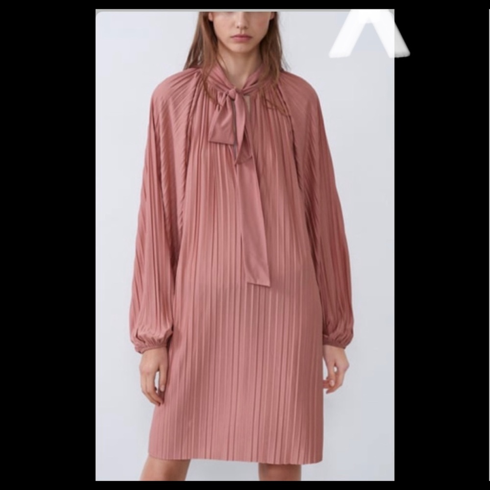 Zara Old rose pleated dress